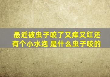 最近被虫子咬了又痒又红还有个小水泡 是什么虫子咬的